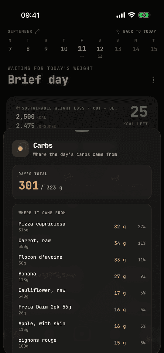Carbs for one day: the pizza is 27% of it, then the carrot, the oats, the banana